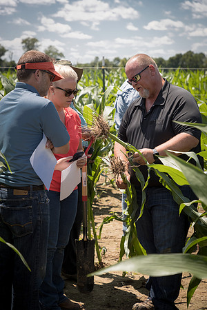 NL_Corn_072319_Carbondale_162