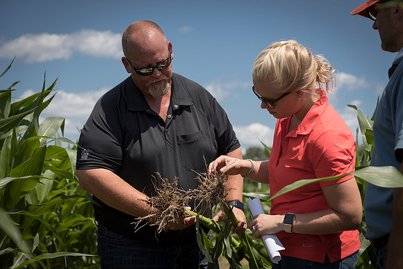 NL_Corn_072319_Carbondale_273