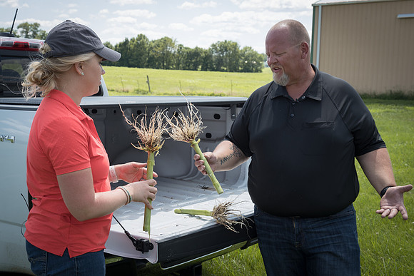 NL_Corn_072319_Carbondale_429