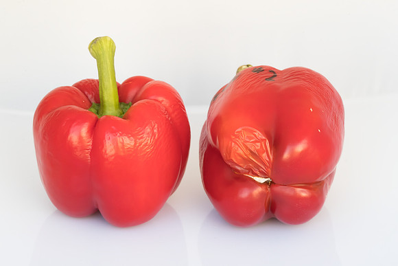 Peppers_Damage_0009