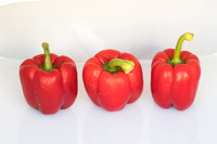 Peppers_Damage_0050