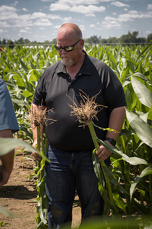 NL_Corn_072319_Carbondale_150