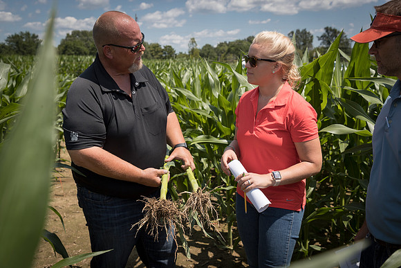 NL_Corn_072319_Carbondale_236