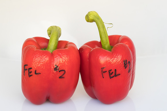 Peppers_Damage_0013