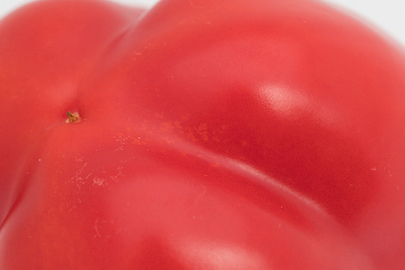 Peppers_Damage_0084