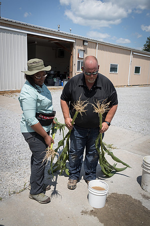 NL_Corn_072319_Carbondale_343