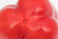 Peppers_Damage_0064