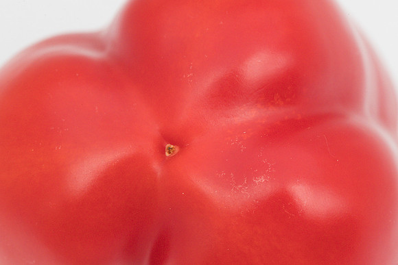 Peppers_Damage_0064