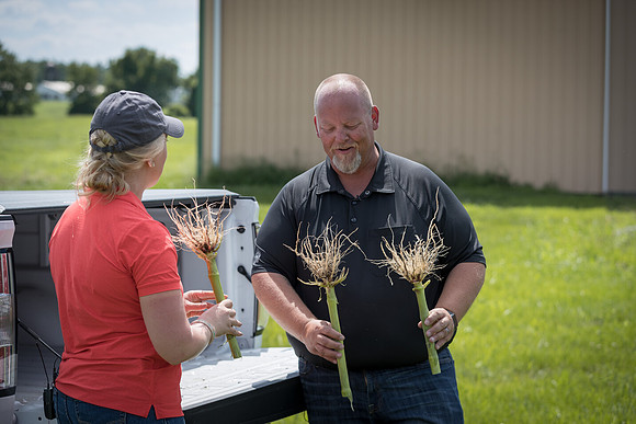NL_Corn_072319_Carbondale_516