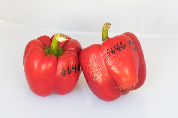 Peppers_Damage_0003