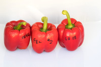 Peppers_Damage_0047