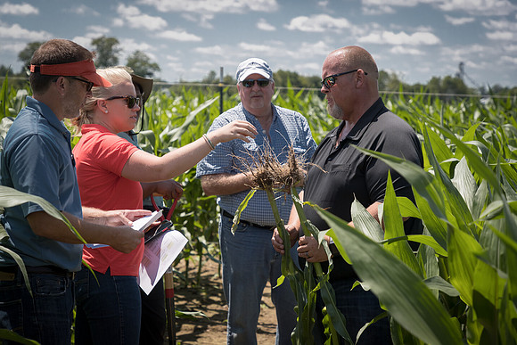 NL_Corn_072319_Carbondale_176
