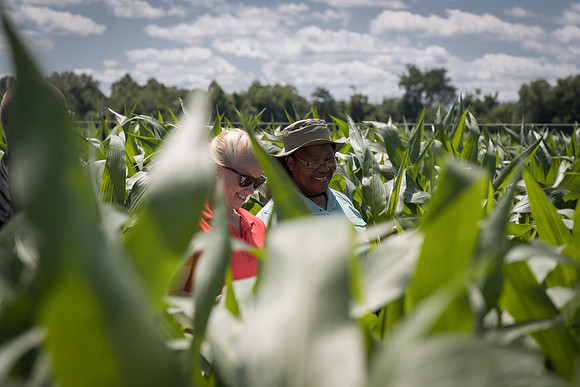NL_Corn_072319_Carbondale_28