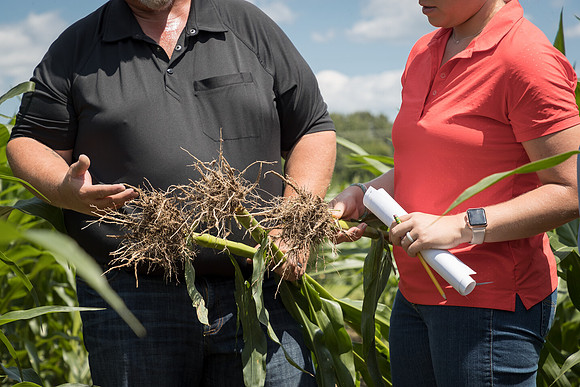 NL_Corn_072319_Carbondale_299
