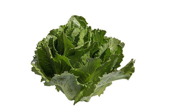 Lettuce_ExperimentalTwo_CA_0026