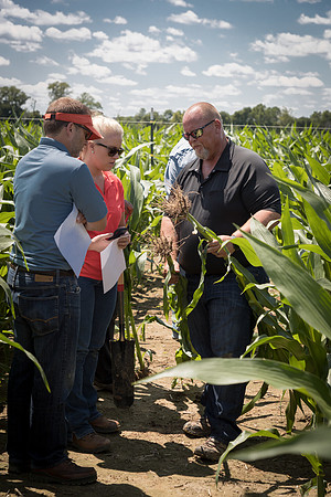 NL_Corn_072319_Carbondale_168