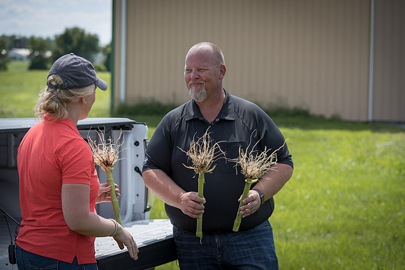 NL_Corn_072319_Carbondale_520