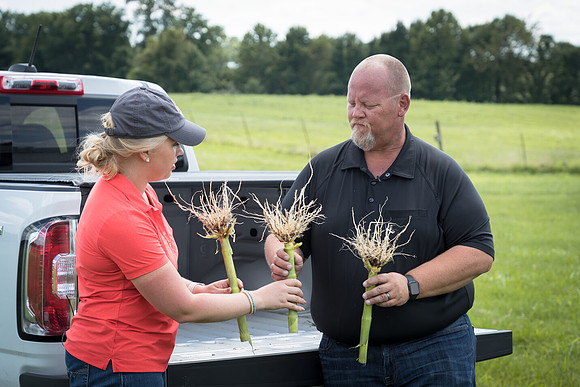 NL_Corn_072319_Carbondale_443
