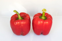 Peppers_Damage_0040