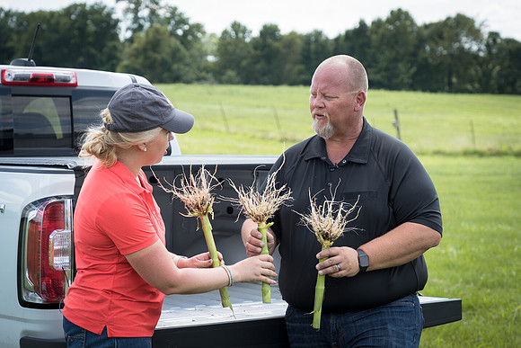 NL_Corn_072319_Carbondale_441