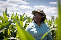 NL_Corn_072319_Carbondale_14