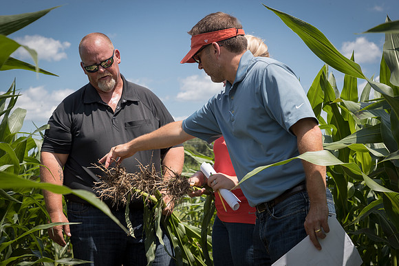 NL_Corn_072319_Carbondale_291