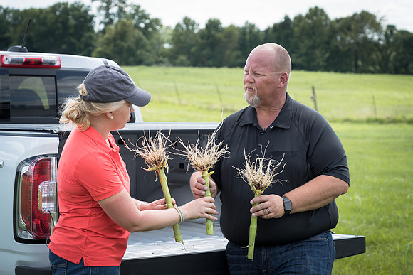 NL_Corn_072319_Carbondale_442