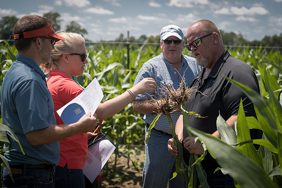 NL_Corn_072319_Carbondale_189