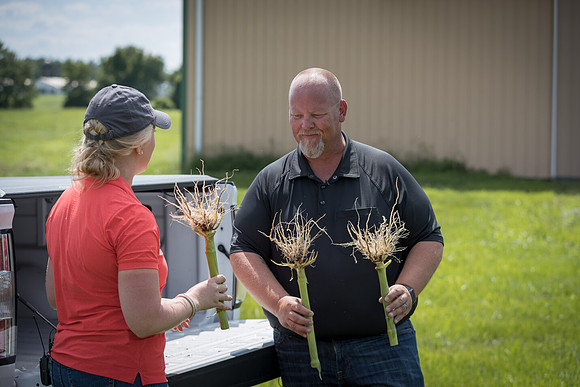 NL_Corn_072319_Carbondale_517