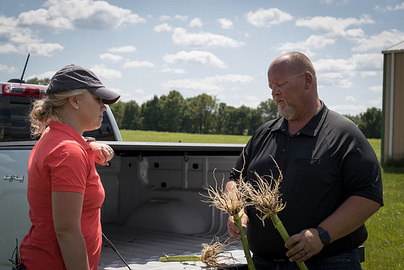 NL_Corn_072319_Carbondale_364