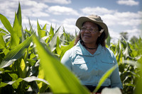NL_Corn_072319_Carbondale_18
