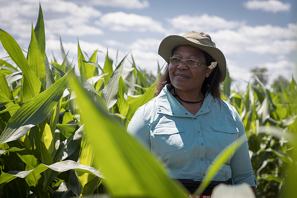 NL_Corn_072319_Carbondale_18