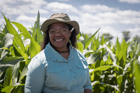 NL_Corn_072319_Carbondale_22