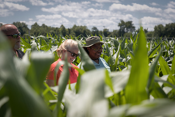 NL_Corn_072319_Carbondale_30