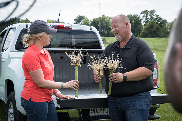 NL_Corn_072319_Carbondale_439
