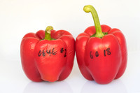 Peppers_Damage_0035
