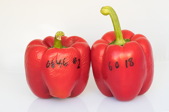 Peppers_Damage_0035