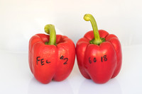 Peppers_Damage_0028