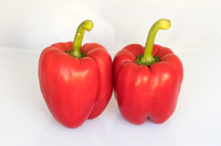 Peppers_Damage_0025