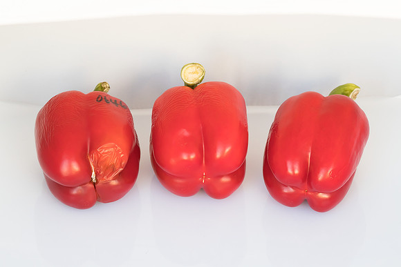 Peppers_Damage_0056