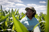NL_Corn_072319_Carbondale_17