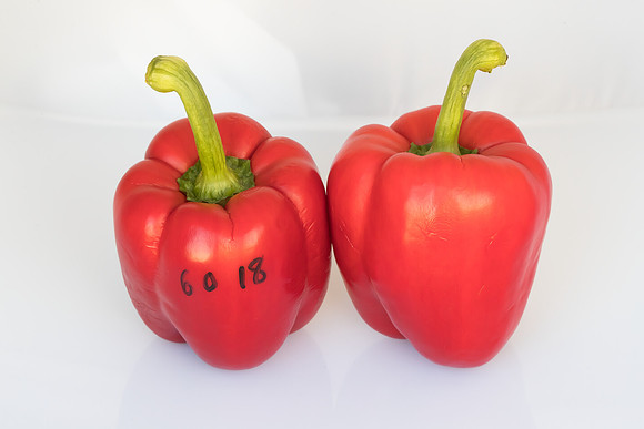 Peppers_Damage_0021
