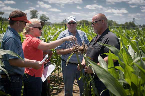 NL_Corn_072319_Carbondale_177