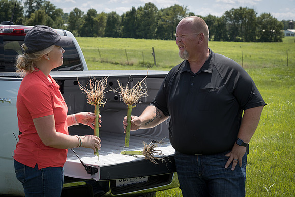 NL_Corn_072319_Carbondale_410