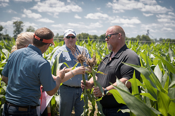 NL_Corn_072319_Carbondale_173