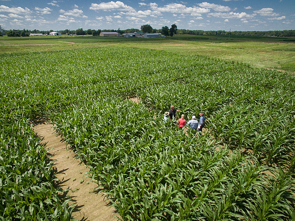 NL_Corn_072319_Carbondale_Aerial_07