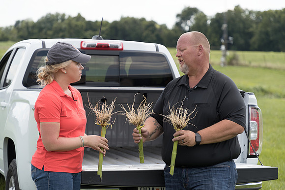 NL_Corn_072319_Carbondale_454