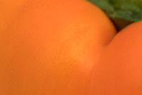 Peppers_Damage_0094