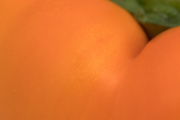 Peppers_Damage_0094