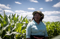 NL_Corn_072319_Carbondale_10